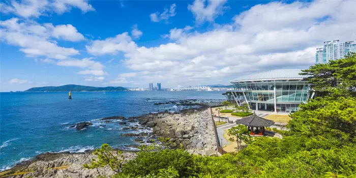 Dongbaekseom-Pulau-Busan-Dengan-Keindahan-Yang-Menakjubkan
