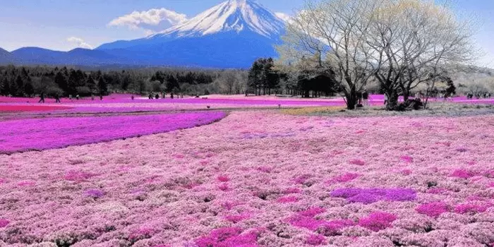 Hokkaido,-Di-Kenal-Dengan-Kekayaan-Alam-Yang-Melimpah