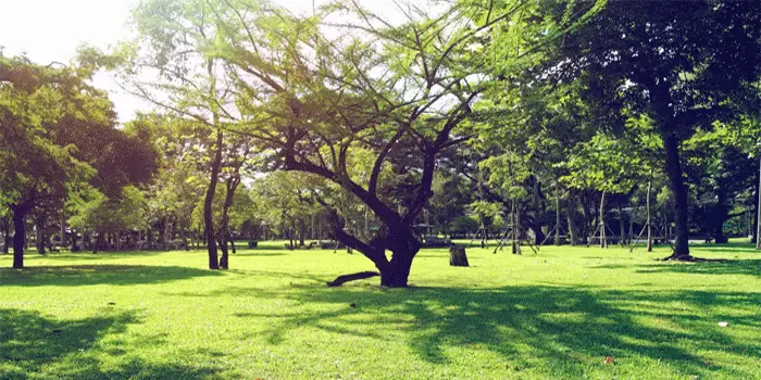 Taman-Halaman-Kalijodo-Wisata-Terpopuler-Tahun-Ini