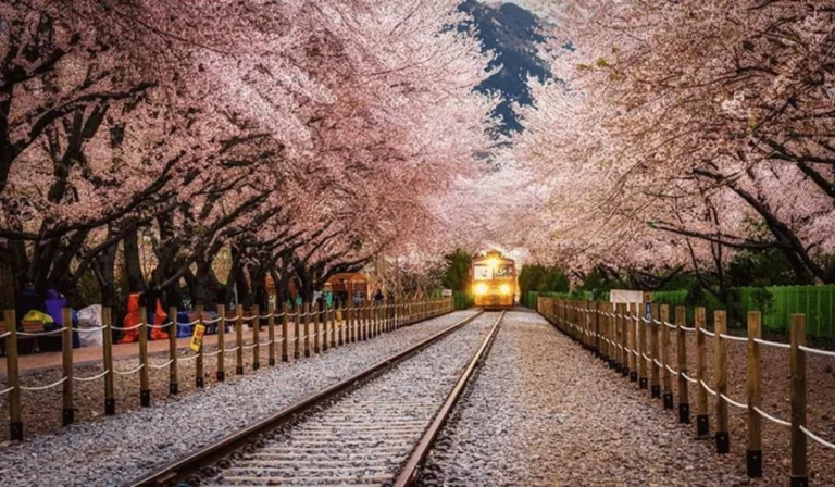 Menyusuri Pesona Stasiun Kyeong Wha: Pintu Gerbang ke Keindahan Distrik Jinhae