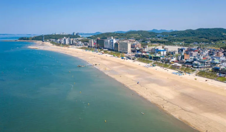 Pantai Daecheon Korea Selatan, Pesona Pasir Putih Dan Festival Lumpur Terbesar